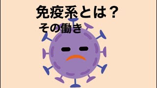 免疫系の働き