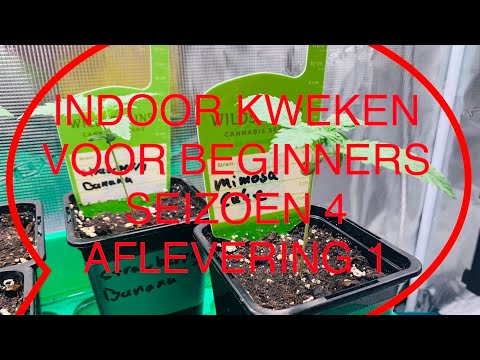 , title : 'Indoor Kweken Voor Beginners Seizoen 4 Aflev. 1'