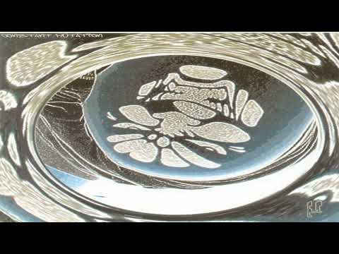 Hellfish And Producer – Constant Mutation (cd/album/mixed)