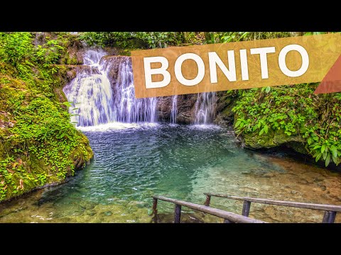 Bonito - Brasil :: 4 passeios imperdíveis em Bonito e região :: 3em3