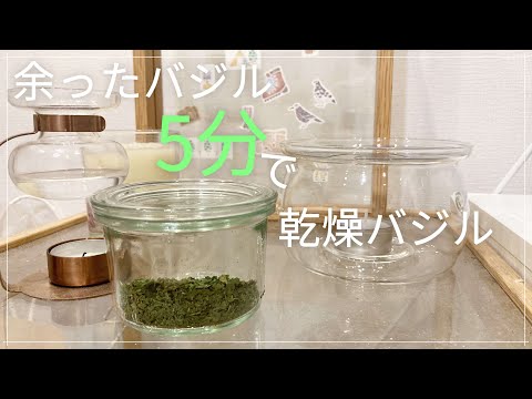 バジルの乾燥: スパイスをストックするためのヒント 植物