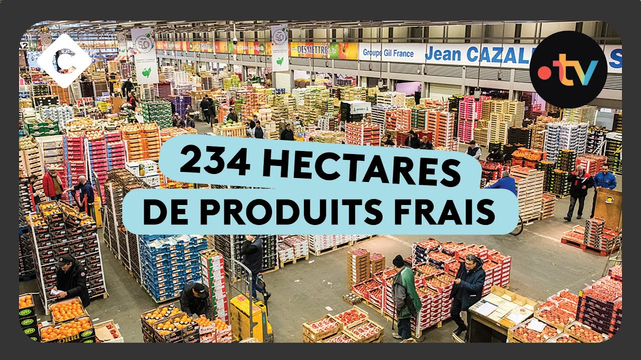 Rungis : dans les coulisses du plus grand marché frais du monde - La Story de Paul Larrouturou