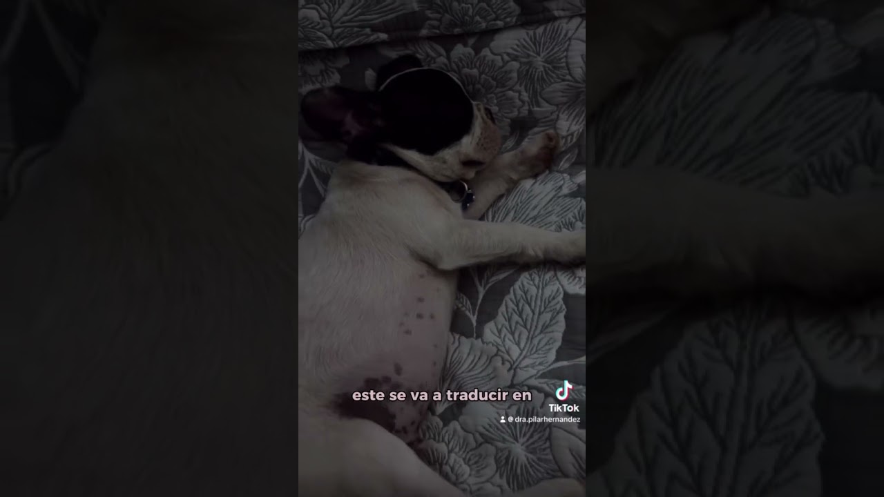 Pilar Hernández Mujica-26