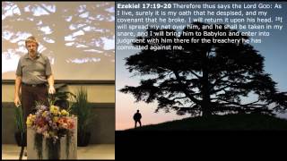 The Eagles, the Vine and the Cedar - Ezekiel 17:1-24 The Eagles, the Vine and the Cedar - Ezekiel 17:1-24