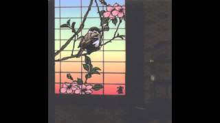 Merzbow - Red Bird Of Summer - Part 2