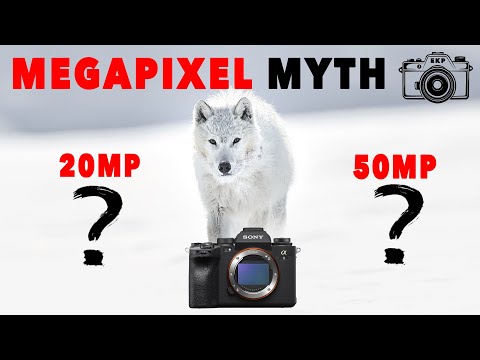 Do You Really Need More MEGAPIXELS?