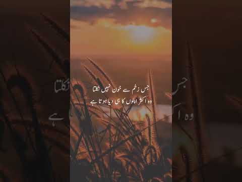 Apno ke zakhm ❤️‍🩹🥀😔||Gufran Khan #ytshort #sad #shorts #gufran #subscribe #viralshorts #share