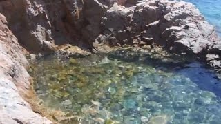 preview picture of video 'Snorkel a Tamariu & Calella de Palafrugell / Cales Costa Brava'