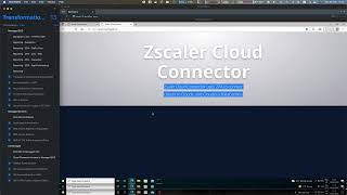 Zscaler Private Access - Transformation