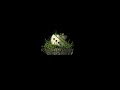 Sinking Ship Entertainment Jane Goodall Institute 2023