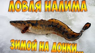 Ночная рыбалка зимой на налима