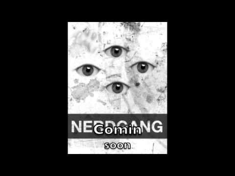 BISHOP700 - HOW I ROCK