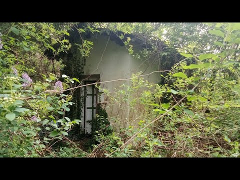 Herzlich willkommen zurück. TECHNIK IST ALLES 😜 ich wieder da/ es geht weiter.🫵😃