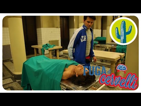 Fuga di Cervelli | Backstage | Frank Matano: scoregge sui morti