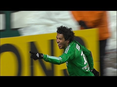 Goal BRANDAO (60') - AS Saint-Etienne - OGC Nice (4-0) / 2012-13