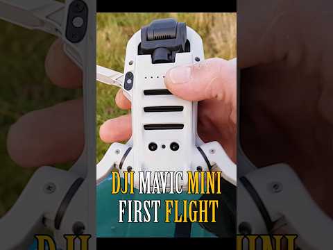 DJI Mavic MINI Flight Test Review IN-DEPTH Pros & Cons CRASH TEST EP3