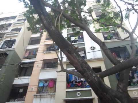 Neminath Ocean View Project Tour 1