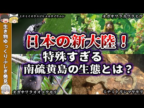 南島の衛星画像。