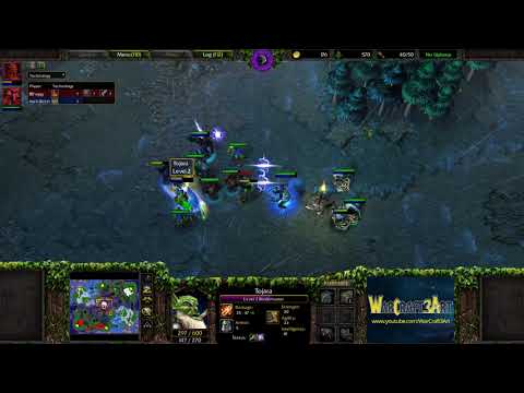 Foggy(NE) vs Fly(ORC) - WarCraft 3 Frozen Throne - RN4102