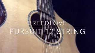 Video thumbnail for Breedlove Pursuit 12 String by Hewn from the Mountain