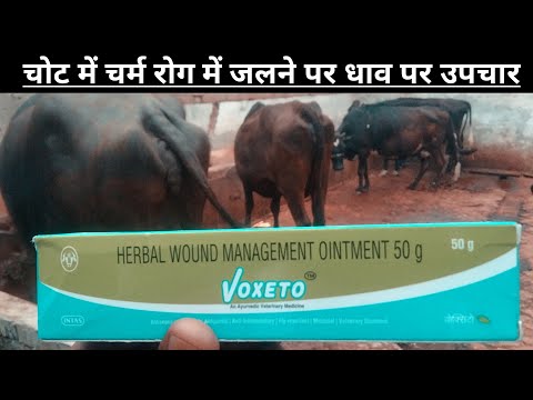 Voxeto veterinary antibacterial & anti-inflammatory skin cre...