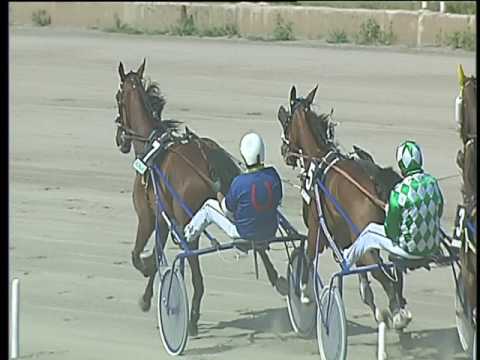 Trotto 08/06/2017 - 3ª corsa