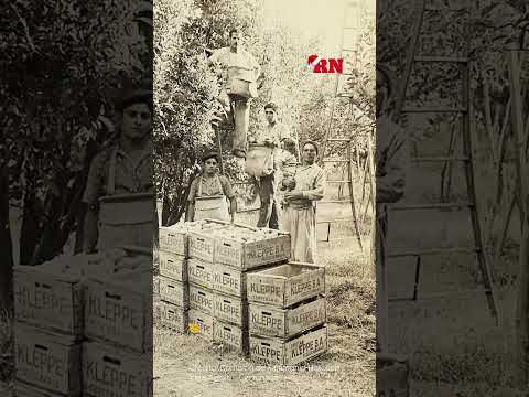 La herencia escondida entre las chacras de Vista Alegre