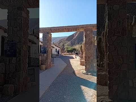 Jardín Botánico de Altura: una puerta al paisaje único de Tilcara 🌵🏔️ #Shorts