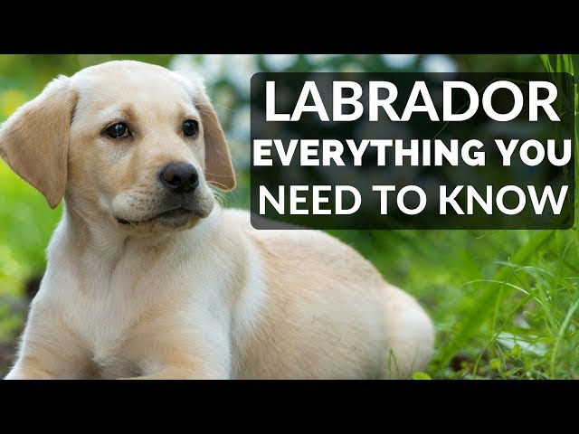 Blog post image: Test Video 1