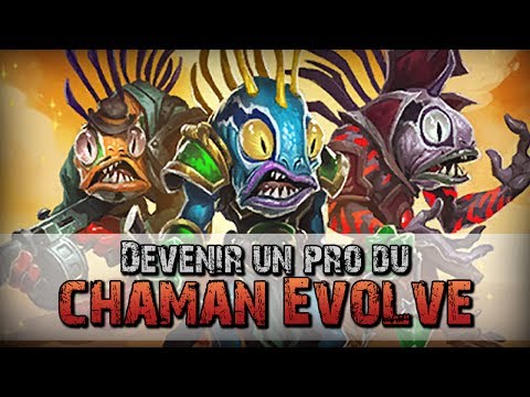 COMMENT MAITRISER LE CHAMAN EVOLVE