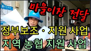 정부지원보조사업ㆍ지역농협 지원사업