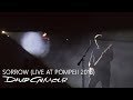 David Gilmour - Sorrow (Live At Pompeii)