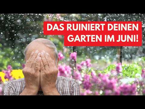 Avoid these 6 mistakes in June and SAVE your garden!
