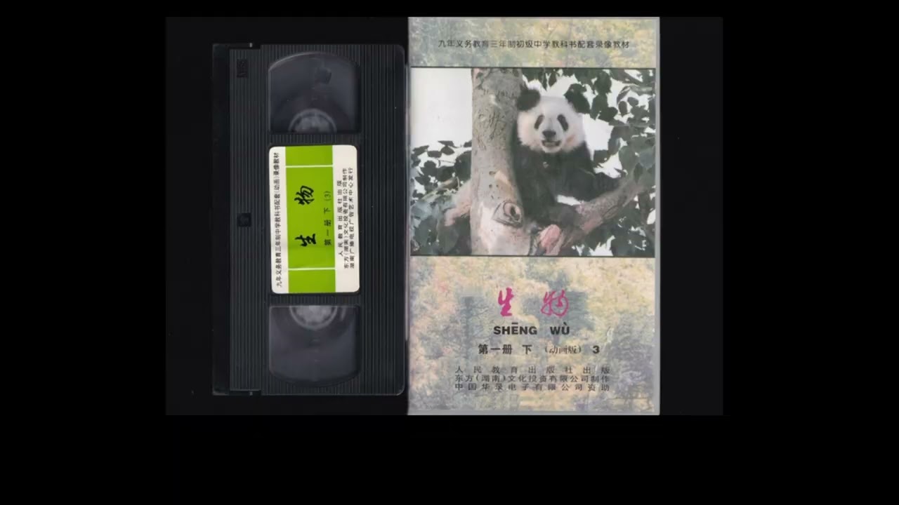 FOOTAGES VESTIGIAUX - TRAILER