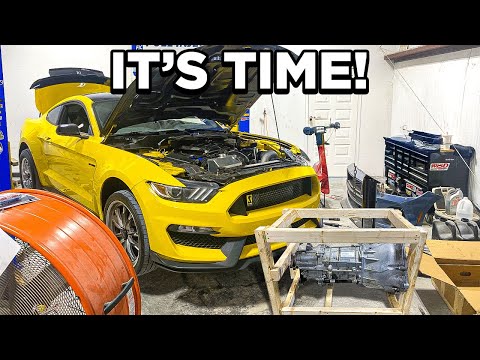 ES IST SOWEIT!! Mein 950 PS starker Shelby GT350 bekommt ein verstärktes Getriebe!!