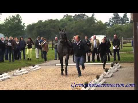 Aus der Tante zu Kat.Nr.3 und 16: Vorauswahl für Verden