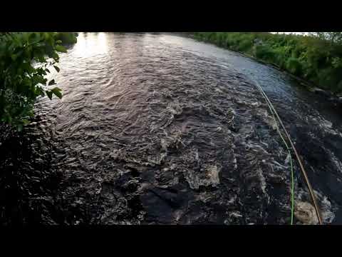 Jigiarvonnan voittaja | Merikarvianjoki | Kalastus