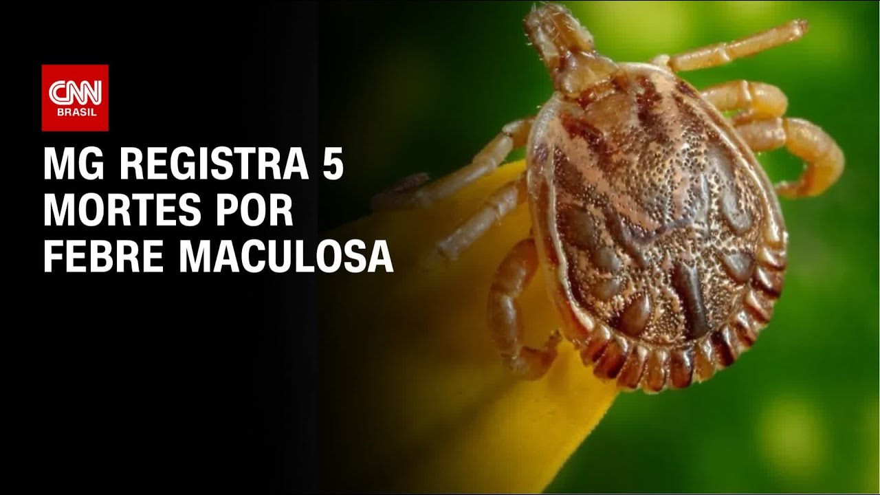 Febre Maculosa: Minas Gerais registra mais uma morte | BASTIDORES CNN