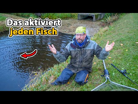 Matze Koch: How to catch fat predators DESPITE THESE!