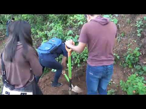 HISTORIA SOBRE LA REFORESTACION DEL CERRO YAWIZ