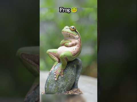 "Skinwalkers disguised as Animals" | #animals #facts #factvideo #scary #skinwalker