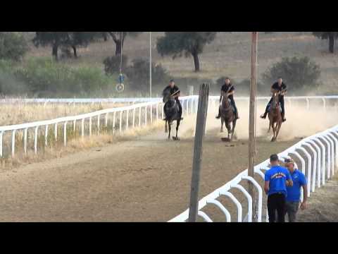 bono corsa all'anello 18.07.2015