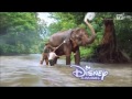 Disney Channel Ident Thailand 77