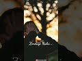 Din Bure Hain Zindagi Nahi Sabar Rakho Sab Sahi Hoga Whatsapp Status Full Screen Meri Diary
