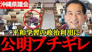 【辺野古事故】沖縄県議会#6 公明党が激怒「平和学習を政治利用するな」教育委員会中心を求める【2026年4月15日沖縄県議会総務企画委員会】