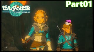 【01】ぼっち勇者の天空探検【ゼルダの伝説ティアーズオブザキングダム】