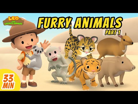 Furry Animals Minisode Compilation (Part 1/4) - Leo the Wildlife Ranger | Animation | For Kids
