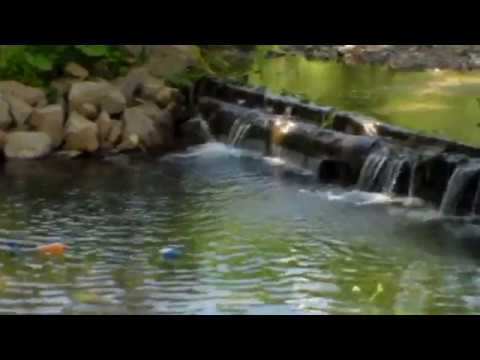 Pescăria  Botfei  A