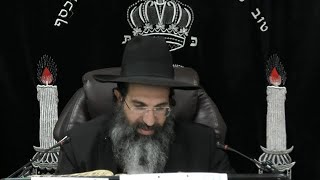 מדיני תרומות ומעשרות - ג' 🥝 טו' בשבט תשפו | הרב שי עובד (הרב שי עובד) - התמונה מוצגת ישירות מתוך אתר האינטרנט יוטיוב. זכויות היוצרים בתמונה שייכות ליוצרה. קישור קרדיט למקור התוכן נמצא בתוך דף הסרטון