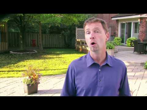 How to Overseed or Reseed Your Lawn